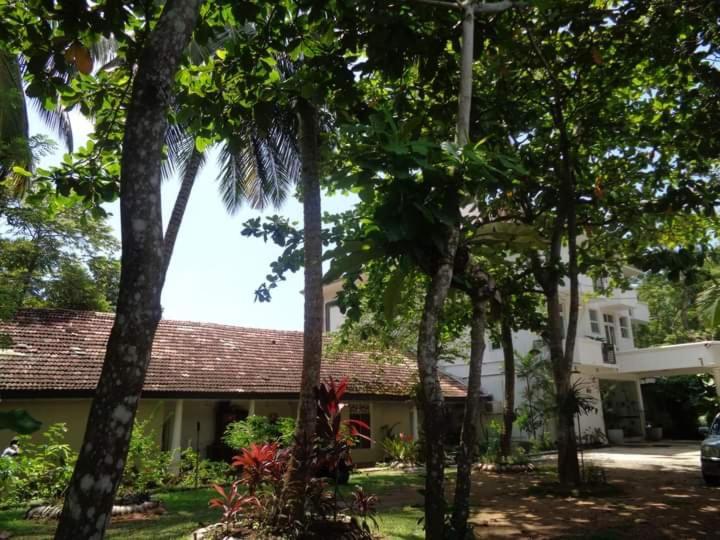 Nooit Gedacht Holiday Resort Unawatuna Ngoại thất bức ảnh