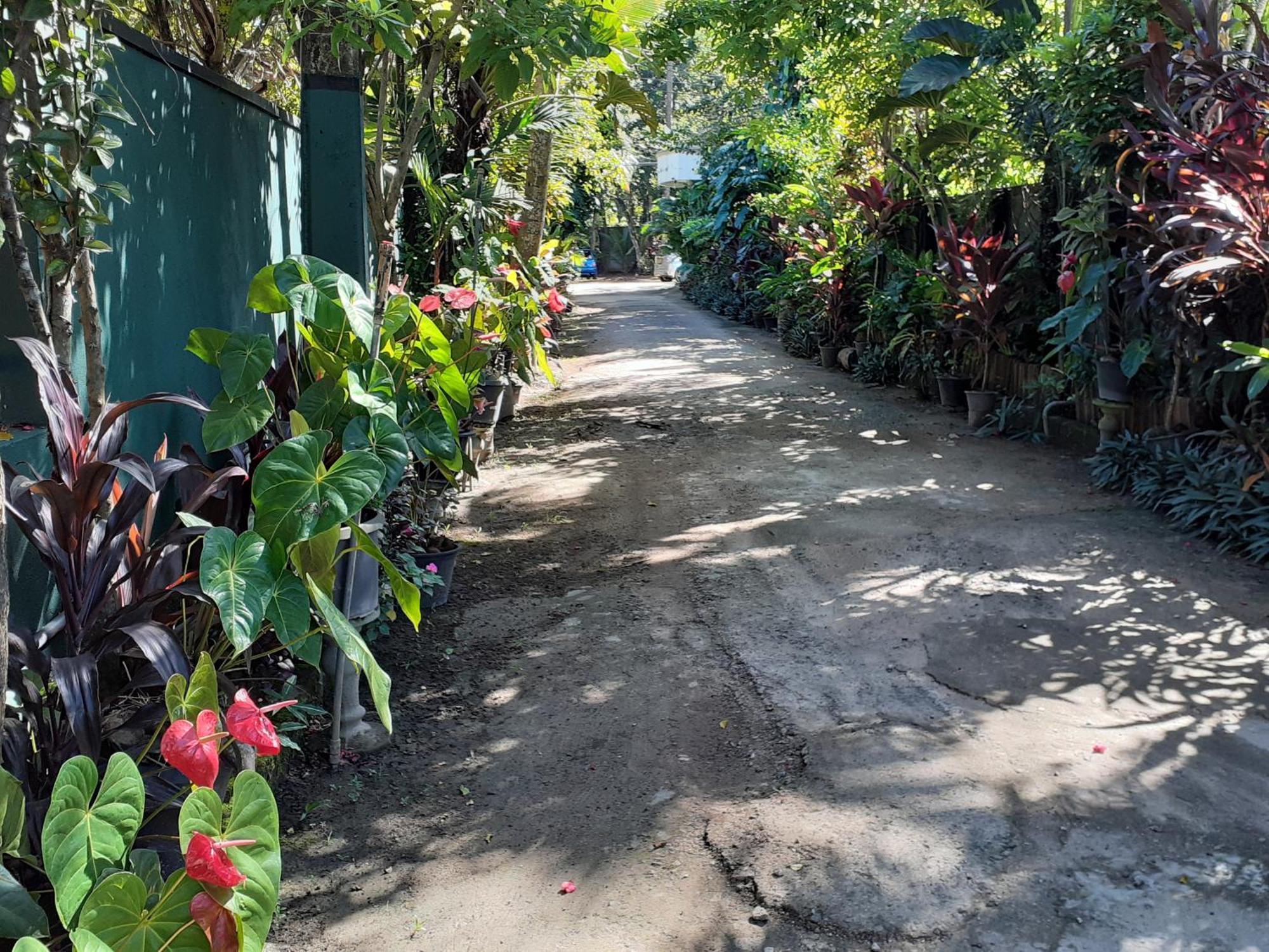 Nooit Gedacht Holiday Resort Unawatuna Ngoại thất bức ảnh
