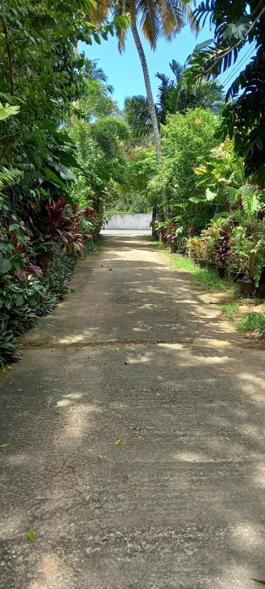 Nooit Gedacht Holiday Resort Unawatuna Ngoại thất bức ảnh