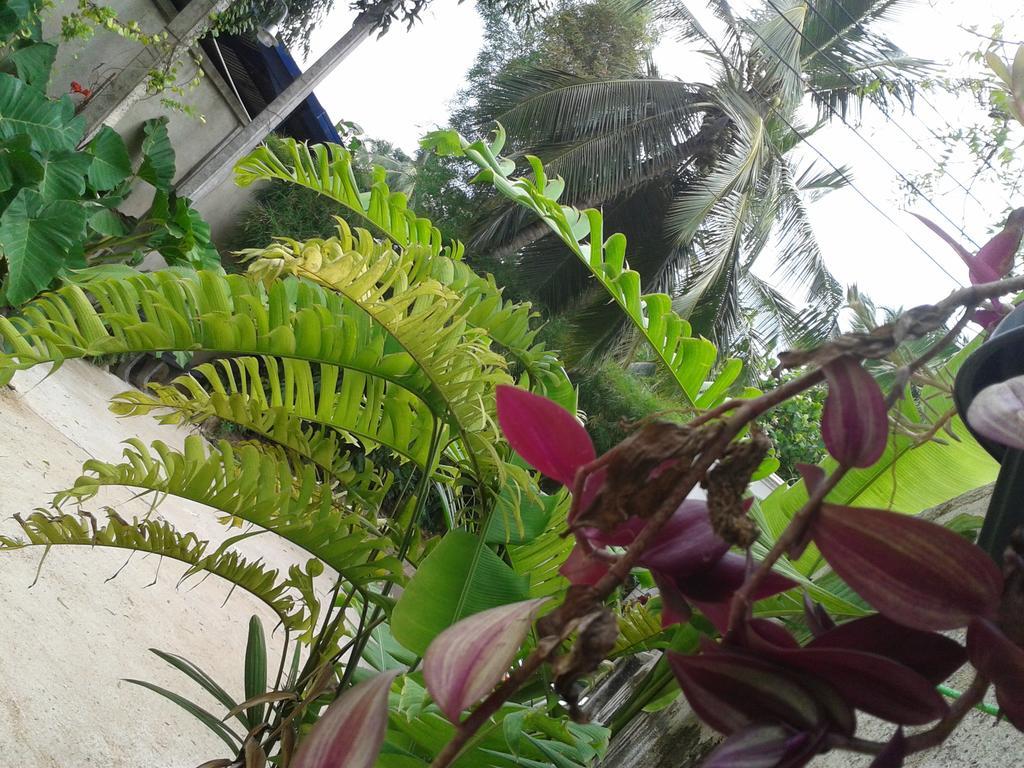 Nooit Gedacht Holiday Resort Unawatuna Ngoại thất bức ảnh