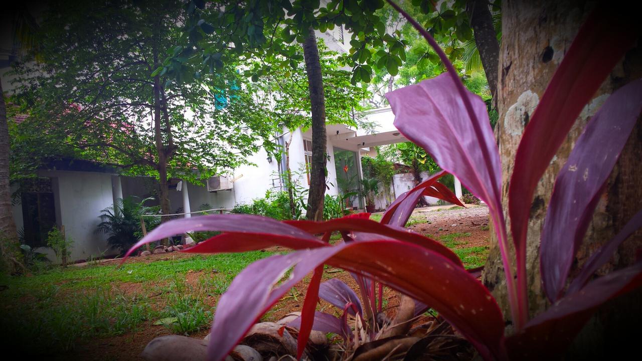 Nooit Gedacht Holiday Resort Unawatuna Ngoại thất bức ảnh