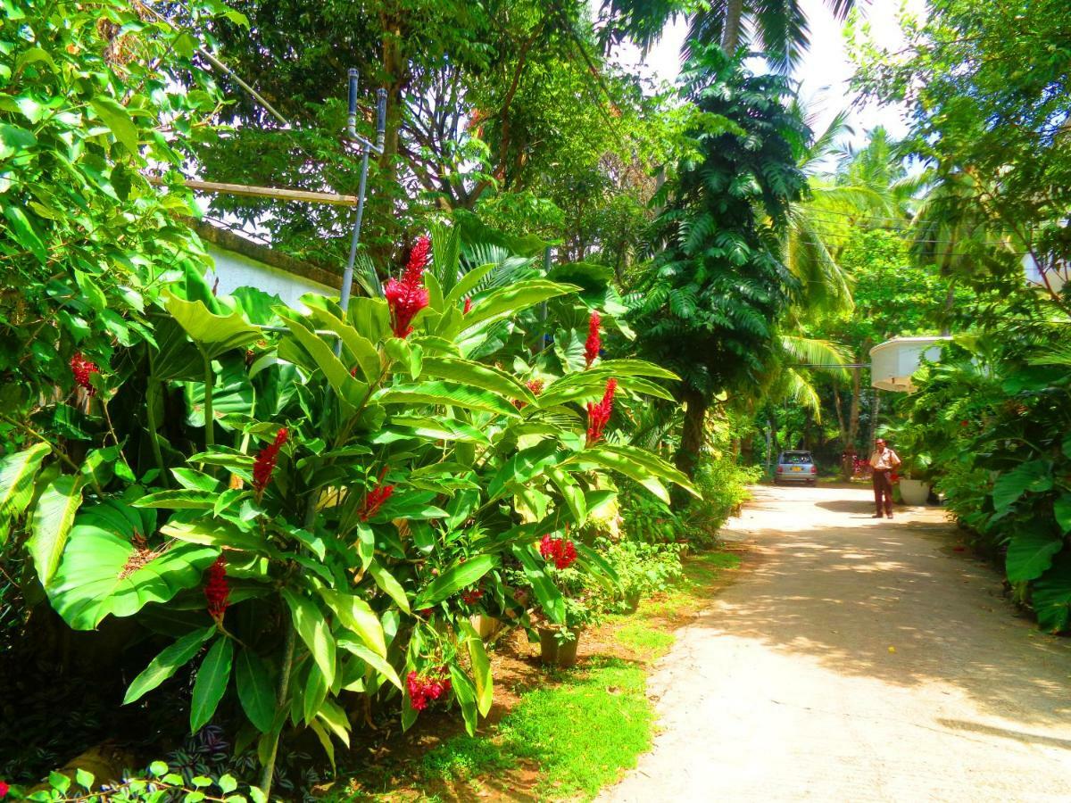 Nooit Gedacht Holiday Resort Unawatuna Ngoại thất bức ảnh