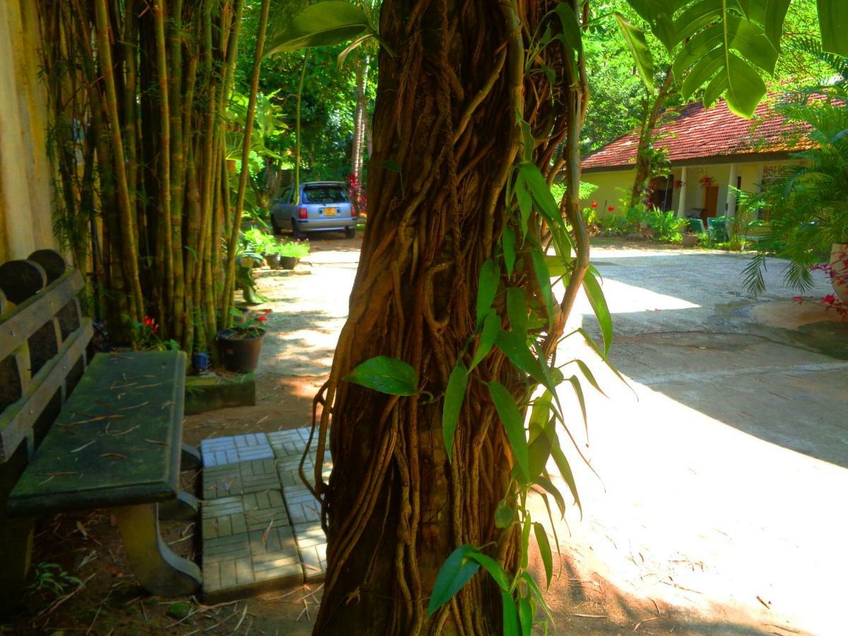Nooit Gedacht Holiday Resort Unawatuna Ngoại thất bức ảnh